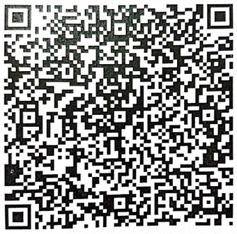 UPI QR Code